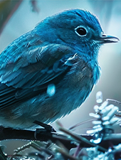 twitter全新账号